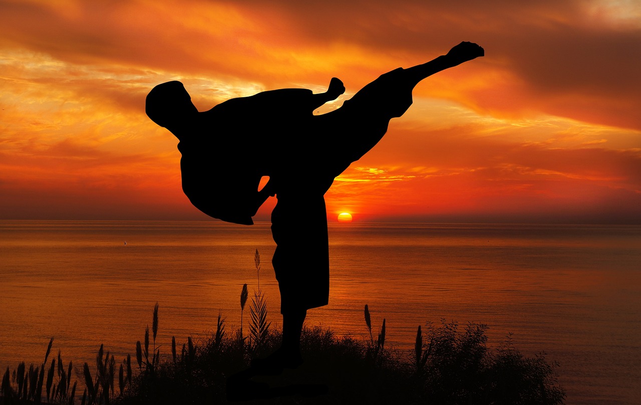 Storia dello stile di karate Wado Ryu