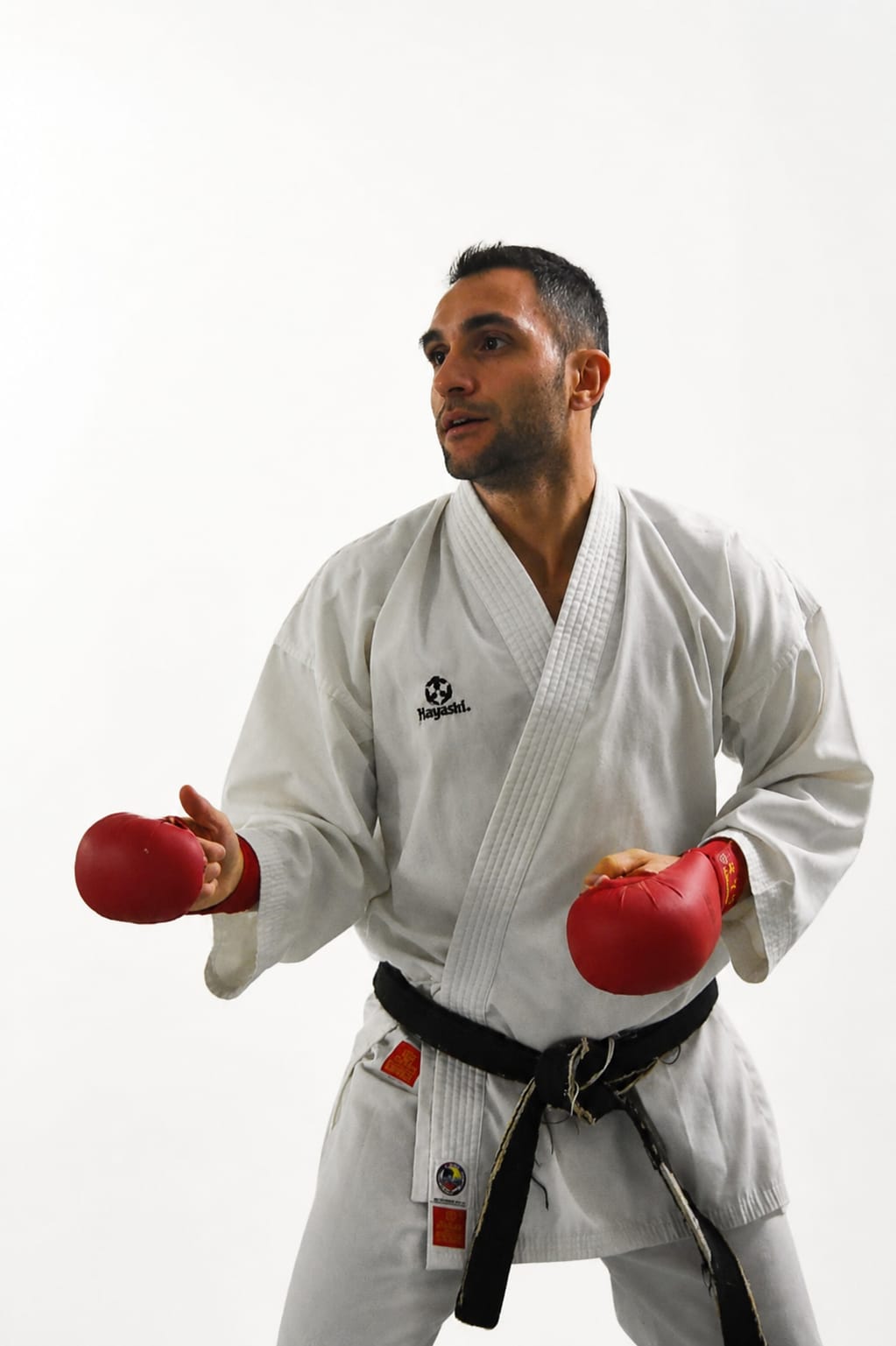 Alessio Verde